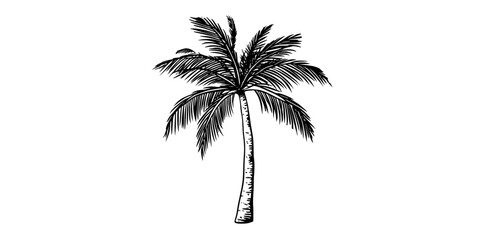 Obraz premium A set of palm tree icons, including a solid black and a clean line drawing version, is available for use in summer branding, travel websites, and tropical designs, offering a simple yet elegant