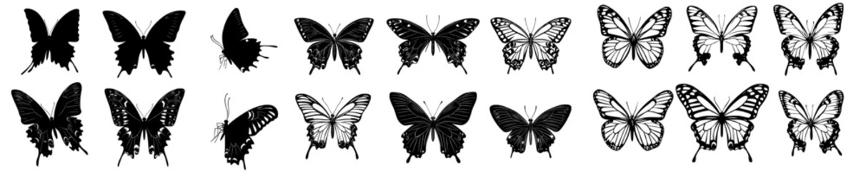 Obraz premium Butterflies in flight are silhouetted against a white backdrop with other butterflies