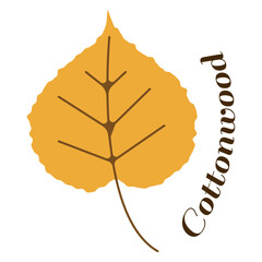 A vibrant orange cottonwood leaf with detailed veins, paired with elegant cursive text "Cottonwood," evoking warmth, nature, and organic branding