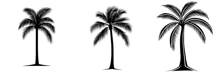 Obraz premium A striking silhouette of a palm tree against a clean, simple background, the palm tree's distinctive shape and iconic tropical feel makes it a perfect symbol for summer