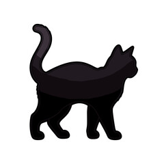 Black cat Silhouette