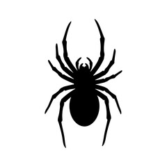 Spooky Spider
