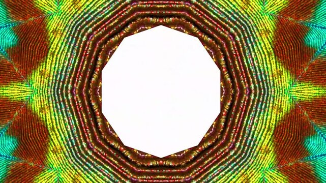 peacock feather kaleidoscope effect