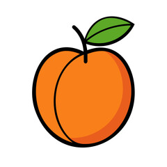 Colored apricot. Apricot icon isolated on white background. Vector illustration.