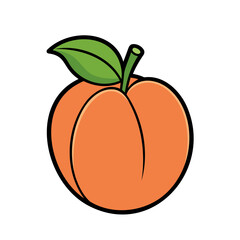 Colored apricot. Apricot icon isolated on white background. Vector illustration.