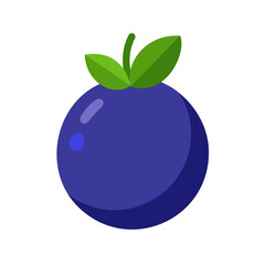 Colored blueberry. Blueberry icon isolated on white background. Vector illustration.