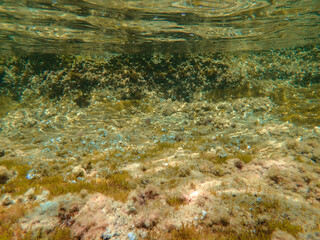Dark blue ocean surface seen from underwater. Abstract waves underwater and rays of sunlight shining through, Sun light rays undersea deep, Underwater background with sea bottom, Mediterranean sea.