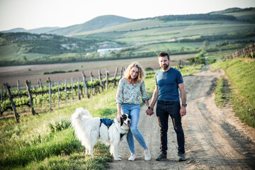 happy couple with dog walking in vineyard at sunset