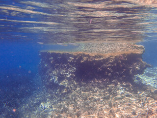 Dark blue ocean surface seen from underwater. Abstract waves underwater and rays of sunlight shining through, Sun light rays undersea deep, Underwater background with sea bottom, Mediterranean sea.