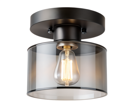 Contemporary black flush mount ceiling light with clear glass shade and edison bulb isolated on transparent background