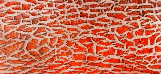 large red textured peel with light pattern close up