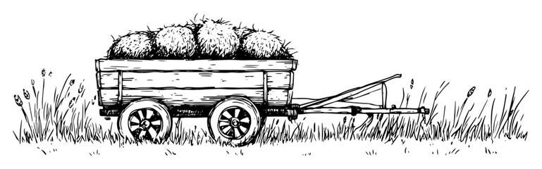 wooden cart with hay in grass field rustic rural illustration © Kaz
