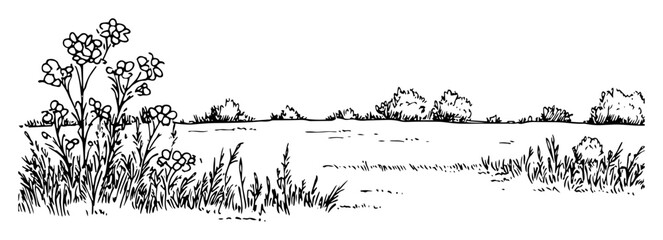 open meadow with flowers and bushes peaceful nature illustration