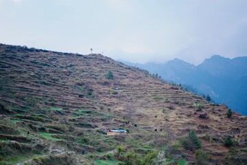 Farm land on the mountain landscape with blue sky