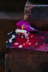 Festival colour for rituals in nepal