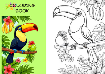 Colorful toucan illustration and black and white coloring page concept of developing thinking, attention, drawing, and finding differences  