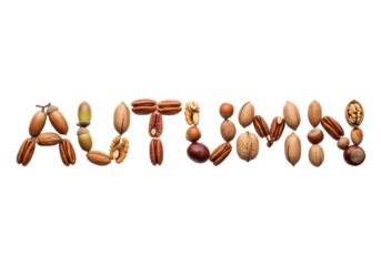 The word 'AUTUMN' is formed using various nuts, including acorns, pecans, and walnuts, arranged on a transparent background.