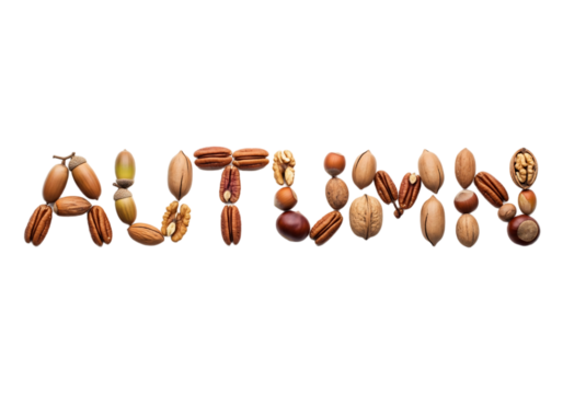 The word 'AUTUMN' is formed using various nuts, including acorns, pecans, and walnuts, arranged on a transparent background.