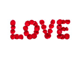 Red rose petals arranged to spell the word 'LOVE' on a transparent background. The petals are vibrant and glossy, creating a romantic and elegant appearance.