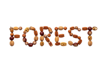 The word 'FOREST' is creatively formed using various nuts and seeds on a transparent background. The arrangement highlights the natural theme of forests.