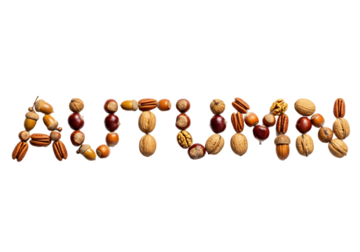 The word 'AUTUMN' is formed using various nuts on a transparent background. The nuts include pecans, walnuts, and chestnuts, showcasing autumn's harvest.