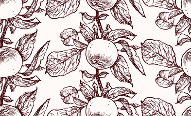 Ripe apples on branch with leaves, sketches, seamless pattern, vector, outlines, wallpaper, paper, fabric, hand drawn background