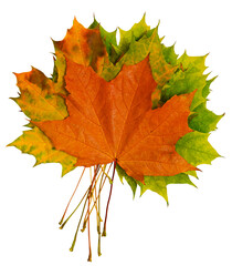 bouquet of autumn multicolored