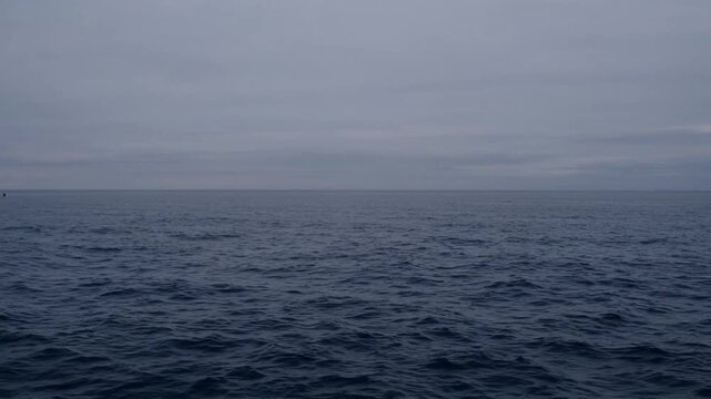 Dynamic Visuals of the Deep Ocean Depths Captured in High Resolution Moving ry Format