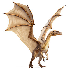 Obraz premium A full body view of a dragon standing on its hind legs with its wings spread on a white background