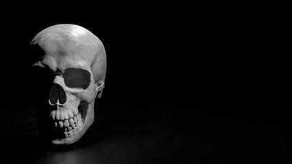 The Skull on Black Background for sci or medical concept 3d Rendering.