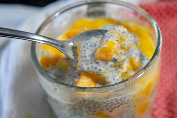 Chia Seed Pudding with Mango A Refreshing Treat. Kefir and milk