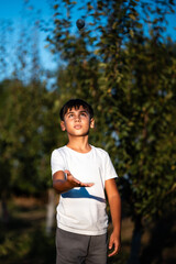 Fototapeta premium Young boy juggling plum in orchard during summer day