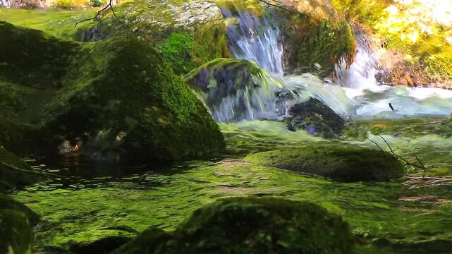 A 20-second still video of the Aude River in the Axat Valley. Water flows among rocks with small waterfalls in the forests of southern France.