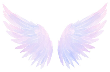 Obraz premium PNG Angel wings white background archangel clothing.