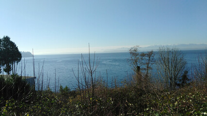 Puget Sound in Washington on a summer day