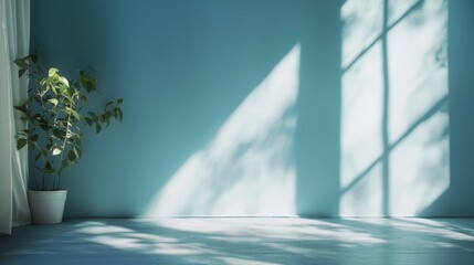 Decorative plant lifestyle product photography advertising concept greenery stylish modern design inspiration natural background