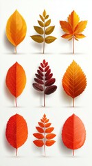 Fototapeta premium Colorful display of autumn leaves arranged in a creative pattern on a light background