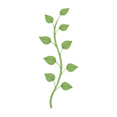 Naklejka premium PNG Minimalist green vine illustration design.