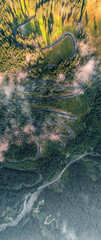 Aerial view of winding mountain pass with sharp hairpin bends through dense forest and mist in the Dolomites Italy