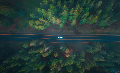 Aerial view of a car driving along a straight forest road surrounded by dense evergreen trees in the Dolomites Italy
