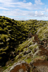 Mossy lava field with blue sky in Iceland.