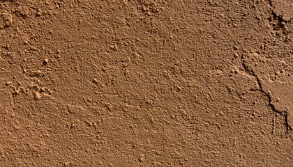 Earthy textured background with a fine, uneven surface and subtle cracking
