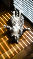 Gray tabby cat lying upside down on a floor with light and shadow patterns