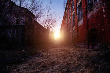 Territory of abandoned industrial area. Large old red brick industrial buildings