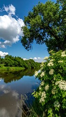 A serene river scene, showcasing a tranquil waterway reflecting a vibrant sky with fluffy clouds, bordered by lush green foliage and vibrant white flowers.