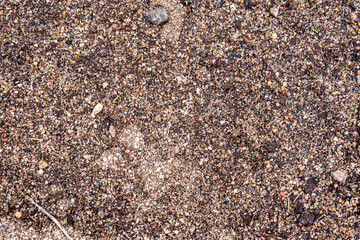 Close-up of natural soil and sand texture with small stones and organic particles. Detailed earthy background for design, texture overlays, environment, and construction themes.
