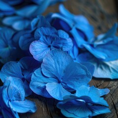 Blue hydrangea petals scattered on wood, close-up