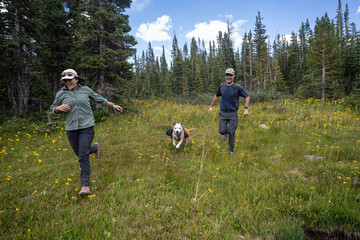 two people running happy with a dog through a meadow 