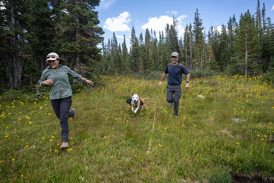 two people running happy with a dog through a meadow - Powered by Adobe