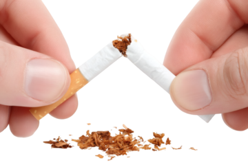 Breaking free from addiction, hands snap cigarette in powerful quitting gesture